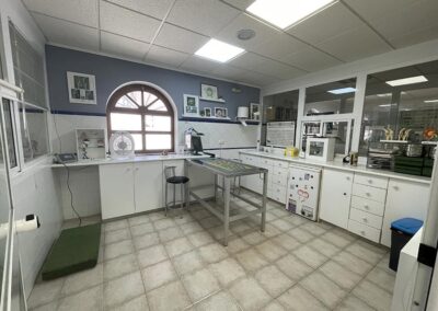 Consulta específica para perros
