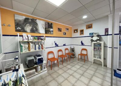 Sal de espera para gatos